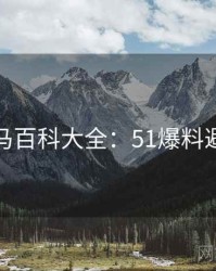 行业黑马百科大全：51爆料避坑指南