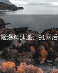 安全风险爆料速递：91网后续追踪
