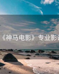 《神马电影》专业影评