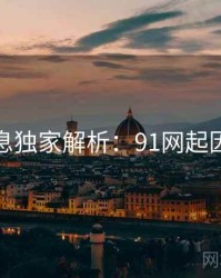 一线消息独家解析：91网起因与影响