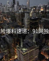 安全风险爆料速递：91网独家首发