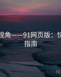 数据化视角——91网页版：快速上手指南