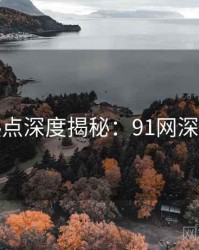 技术热点深度揭秘：91网深度思考