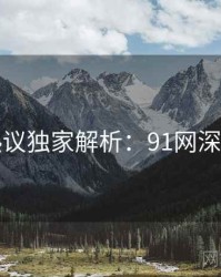 网络热议独家解析：91网深度思考