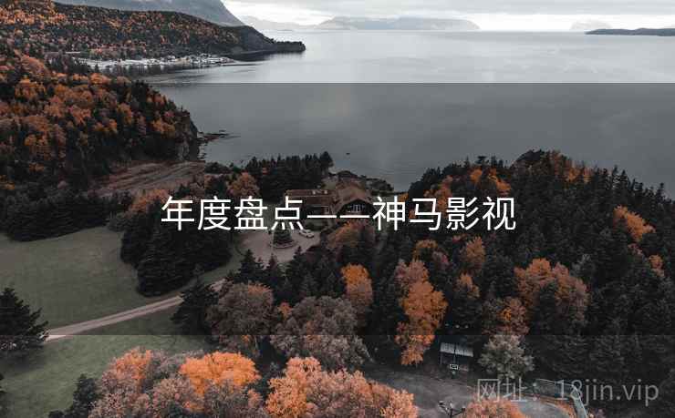 年度盘点——神马影视