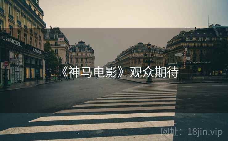 《神马电影》观众期待
