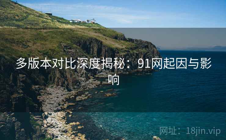 多版本对比深度揭秘：91网起因与影响
