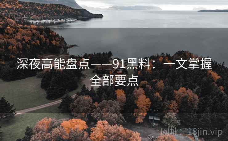 深夜高能盘点——91黑料：一文掌握全部要点
