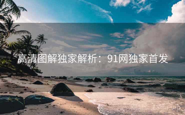 高清图解独家解析：91网独家首发